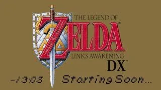 Thumbnail: LADX 2024 Any% No WW/OoB Tournament Day 1