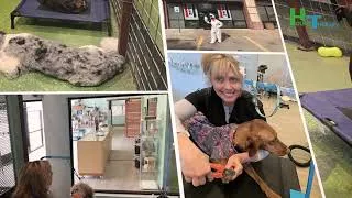 Thumbnail: Hound Therapy