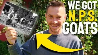Thumbnail: WE GOT GOATS FROM THE NPS DURING THE GOVERNMENT SHUTDOWN