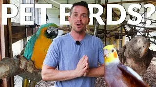 Thumbnail: HOW We Got $30,000 Worth of Parrots for FREE