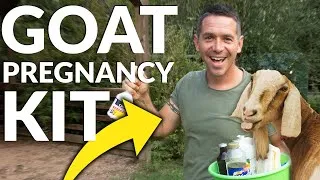 Thumbnail: 15 Things You NEED Before Your Goat Has Babies