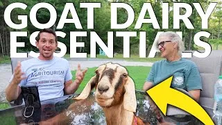 Thumbnail: Why YOU Should Start a GOAT DAIRY (w/ Whispering Pines Farm)