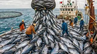 Thumbnail: The peak fishing season in 2026 – 25 million pounds of seafood caught daily in Japan.