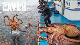 Thumbnail: Fishing Documentary | How Harvesting 6 Tons of Giant Octopus in Deadly Seas Generates $900,000?