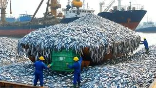 Thumbnail: Fishing Documentary | How Harvesting 8 Tons of Sardines During Migration Nets $750,000