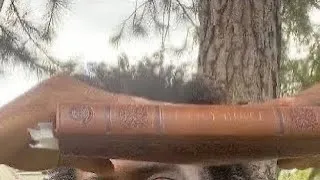 Thumbnail: Prophetic Word Give Place To GOD
