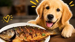 Thumbnail:     Cooking Fish With My Dog for the First Time! 🐶❤️
