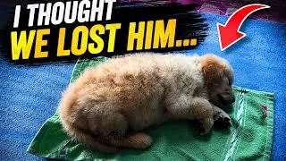 Thumbnail:     I thought we were going to lose him.
