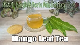 Thumbnail: Mango Leaf Tea: Powerful Benefits & How to Make It at Home