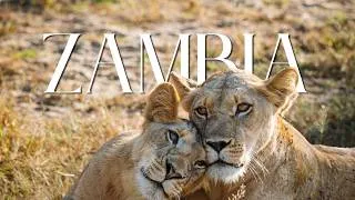 Thumbnail: Why We Loved Classic Zambia Safaris