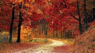Thumbnail: Best Unknown Classical Music