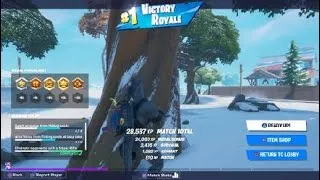 Thumbnail: Fortnite solo dub