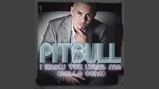 Thumbnail: Pitbull - I Know You Want Me (Cale Ocho) [Radio Edit] (Audio HQ)