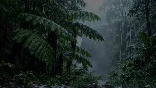 Thumbnail: Instant Fall Into DEEP Sleep with Relaxing Rain in the Forest 🌧️ Sleep, Relax and Rest Your Mind