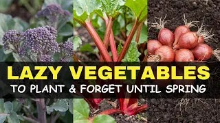 Thumbnail: 15 "Lazy" Vegetables You MUST Plant This Fall and Forget Until Spring