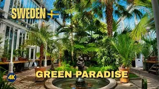 Thumbnail: You Won’t Believe This Is Sweden 🇸🇪🌴 | Gothenburg 4K Walking Tour