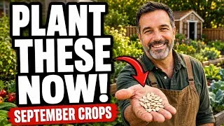 Thumbnail: 7 Crops You'll Hate Not Planting in September! (Thrive Late Summer into Fall & Winter)