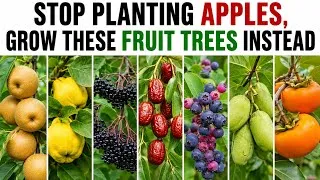 Thumbnail: 11 Fruit Trees More Productive Than Apple (That Nobody Plants)