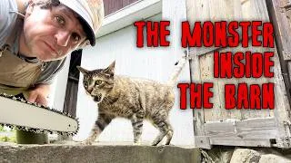 Thumbnail: The Deadly Predator Living in My Barn
