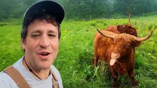 Thumbnail: I’m Starting to Think This Cow Is Broken