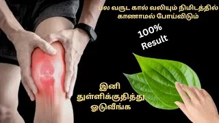 Thumbnail: இனி துள்ளிக்குதித்து ஓடுவீங்க /leg pain relief /kitchen tips in tamil @gomu'slifestyle