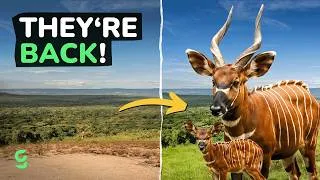 Thumbnail: Your Monthly Dose of Good News | July