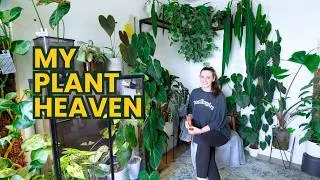 Thumbnail: I Finally Have a Plant Room 🪴 Full Tour