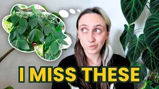 Thumbnail: The Plants I Still Think About (& Might Re-Buy 🫣)