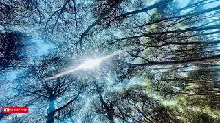 Thumbnail: Jon & Vangelis - I'll Find My Way Home / 1 hour music