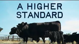 Thumbnail: Goodstock Presents: A Higher Standard