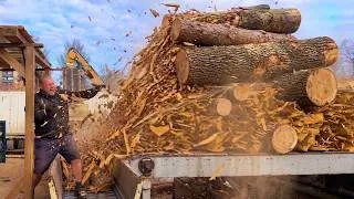 Thumbnail: Mesmerizing Timber Shredding | Pure Destruction