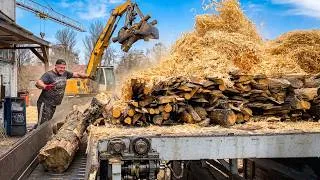 Thumbnail: The Most Powerful Wood Shredder In The World