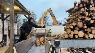 Thumbnail: Ultimate 24/7 Marathon Of Massive Timber Shredding