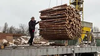 Thumbnail: TITANIC Wood Chipping: MEGA Industrial Destruction
