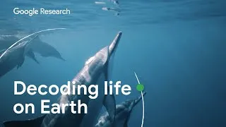 Thumbnail: Decoding the DNA of Life on Earth