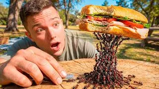 Thumbnail: How Much Can an Ant REALLY Lift?