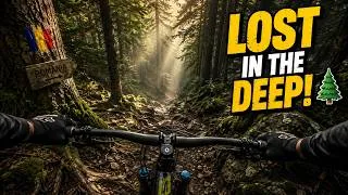 Thumbnail: Lost in Romania's Deepest Forest Trail 🇷🇴 | MTB POV Exploration
