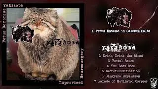 Thumbnail: Fetus Demersus / Yakisoba - Improvised Neurosurgery split CD FULL ALBUM (2026 - Goregrind)