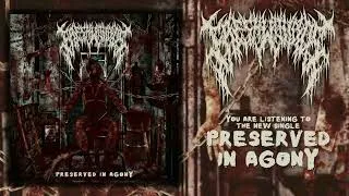 Thumbnail: FRESH WOUNDS - PRESERVED IN AGONY [SINGLE] (SLAMMING BRUTAL DEATHCORE- 2026)