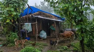 Thumbnail: Real Himalayan Nepali Mountain Village Life During Heavy Rain | Rainy Season Documentary | Nepal 🇳🇵