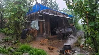 Thumbnail: This Is Real Himalayan Nepali Mountain Village Life During Heavy Rain | Nepali Rural Village |