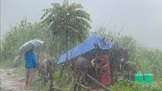 Thumbnail: Real Nepali Mountain Village Life During Heavy Rain | Most Peaceful & Relaxing Rural Nepal 🇳🇵 |