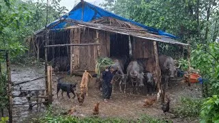 Thumbnail: Real Himalayan Nepali Mountain Village Life During Heavy Rain | Nepali Rural Lifestyle  Documentary 
