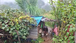 Thumbnail: Real Nepali Mountain Rural Village Life During Heavy Rainy | Nepali Village Documentary Video |