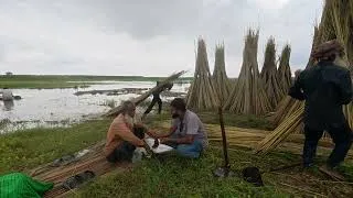 Thumbnail: নদীপারের কৃষকদের জীবন কেমন হয় || GoriberAgroBd