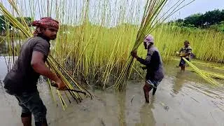 Thumbnail: সবকিছু শেষ হয়ে যাবার পর লোক পাইলাম || @GoriberAgroBd 