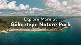 Thumbnail: From the Shore to the Depths at Gökçetepe Nature Park