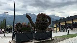 Thumbnail: GUBAŁÓWKA, ZAKOPANE 🇵🇱 | Riding the Funicular to the BEST Views in Poland!