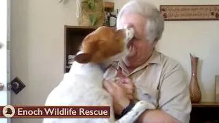 Thumbnail: A Timely Rescue & Release and some other stuff...
