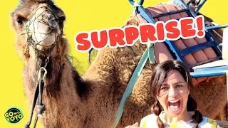 Thumbnail: Would YOU RIDE THIS?? 😂 Camel Rides with Kids and Animal Facts!